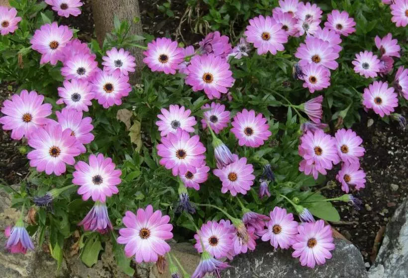 هتل Glam Resort Villa Maria Luigia