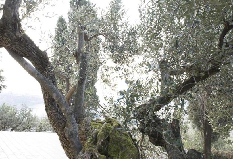 בית מלון כפרי La Dolce Casetta