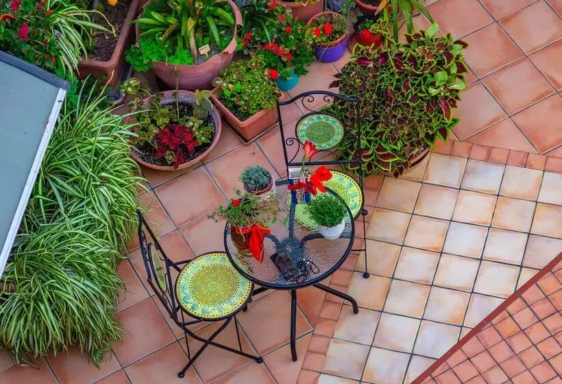 Hotelli La Finestra Sul Cortile B&b