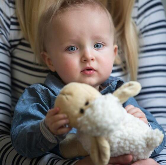 בית מלון כפרי De Roos Leeuwarden