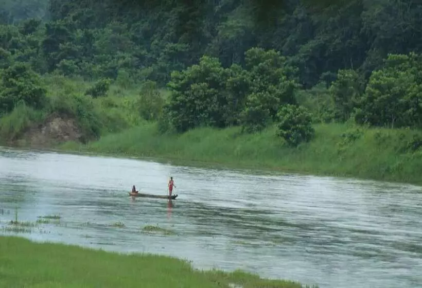 هتل Into The Wild Eco Resort