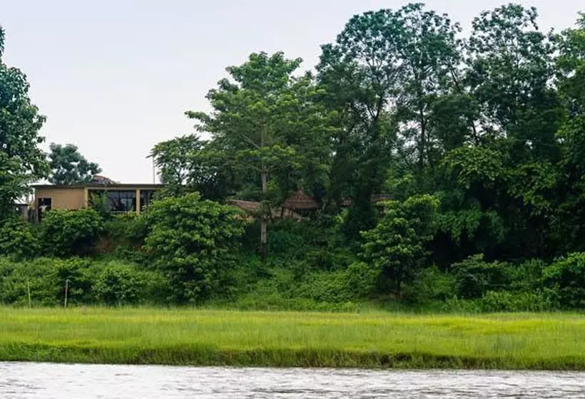 هتل Into The Wild Eco Resort