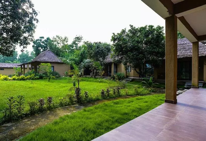 هتل Into The Wild Eco Resort