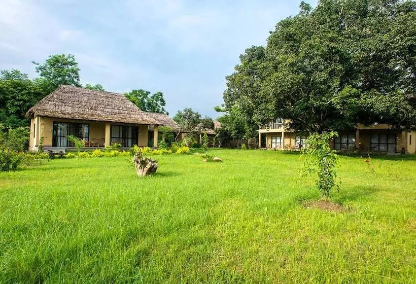 هتل Into The Wild Eco Resort