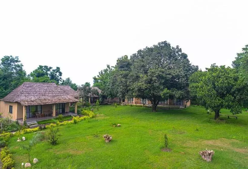 هتل Into The Wild Eco Resort