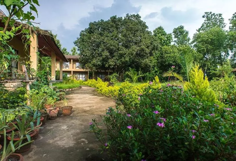 هتل Into The Wild Eco Resort