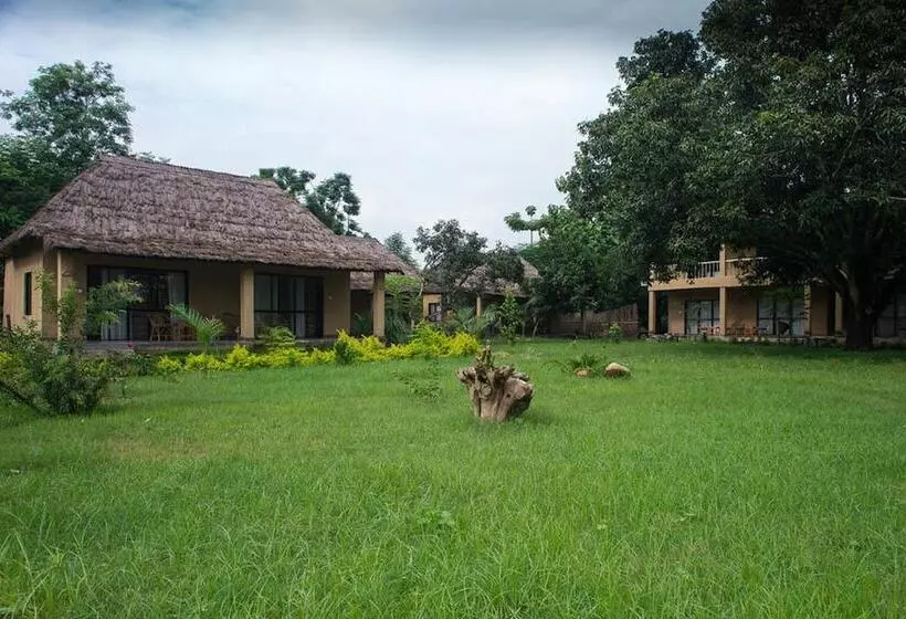 هتل Into The Wild Eco Resort