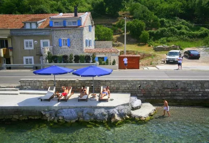 هتل Jelena Vile & Apartmaments
