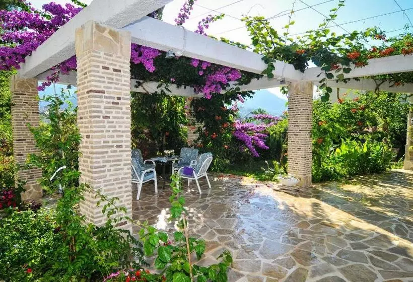 هتل Villa Stankovic Apartments