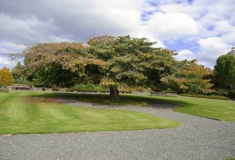 בית מלון כפרי Central City Camping Park