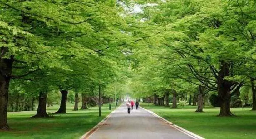 Hotelli Central City Camping Park