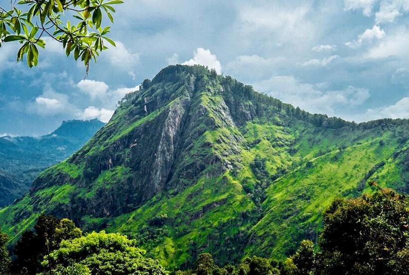 ホテル Ella Dream Catcher Resort