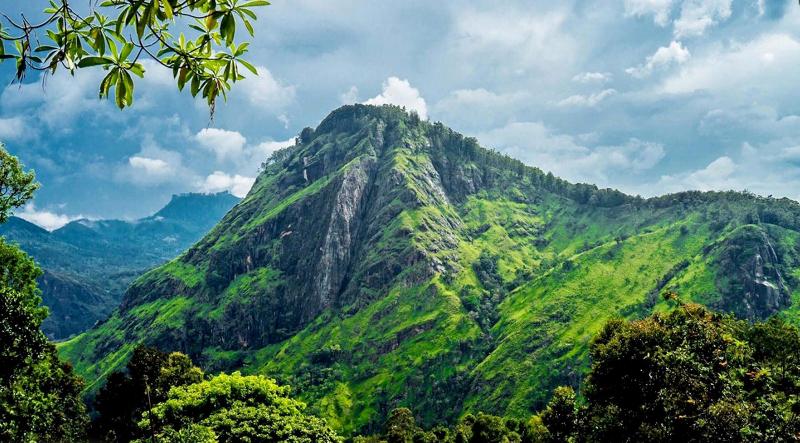 ホテル Ella Dream Catcher Resort