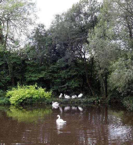 فندق Fferm Y Felin