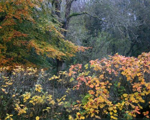 فندق Fferm Y Felin