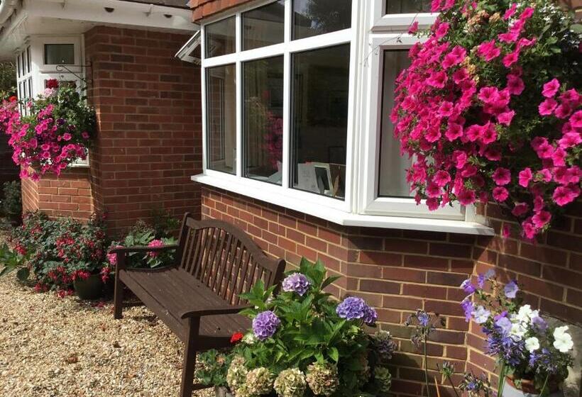 Отель Honey Lodge