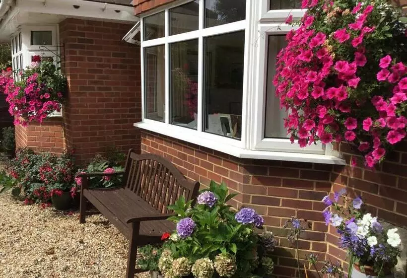 ホテル Honey Lodge