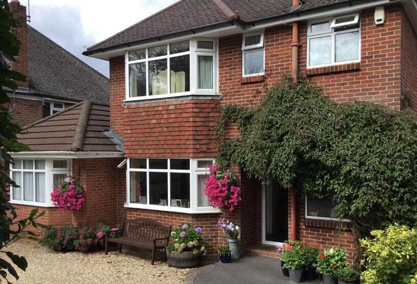 Отель Honey Lodge