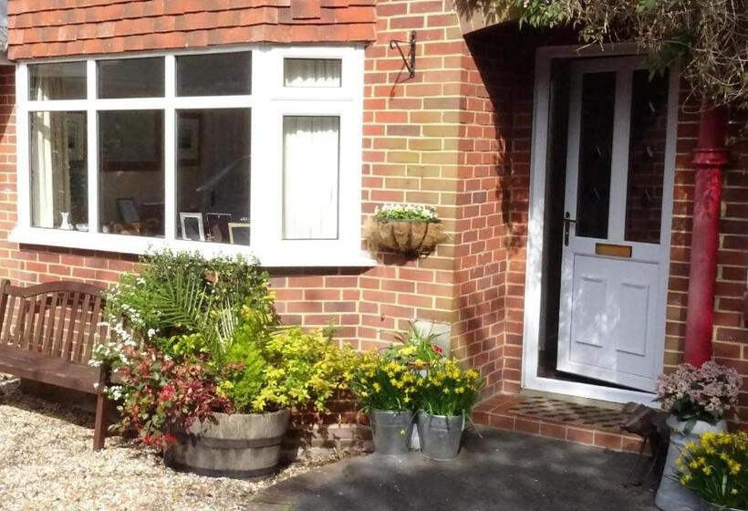 Отель Honey Lodge