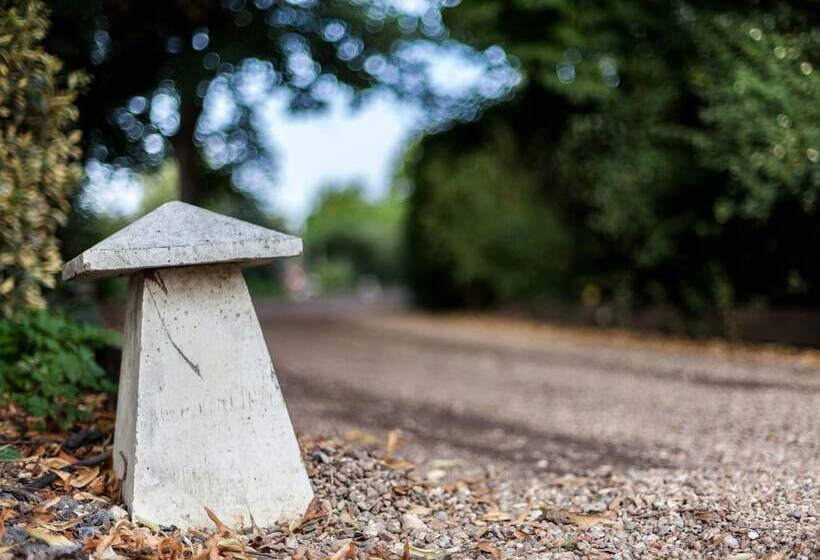 ホテル Hookwood Lodge