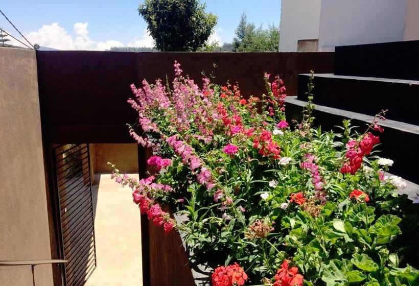 בית מלון כפרי Kingsford Residences