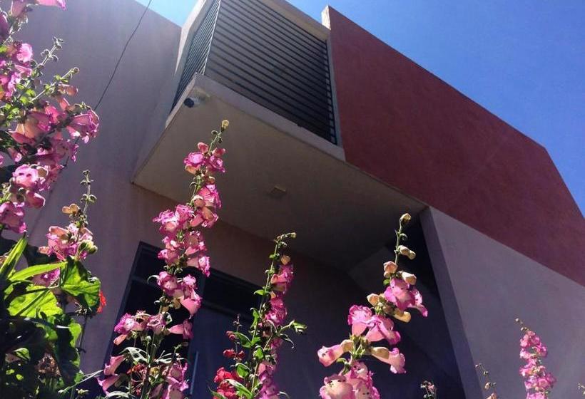 בית מלון כפרי Kingsford Residences