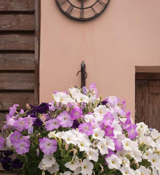 호텔 Luccombe Villa Holiday Apartments