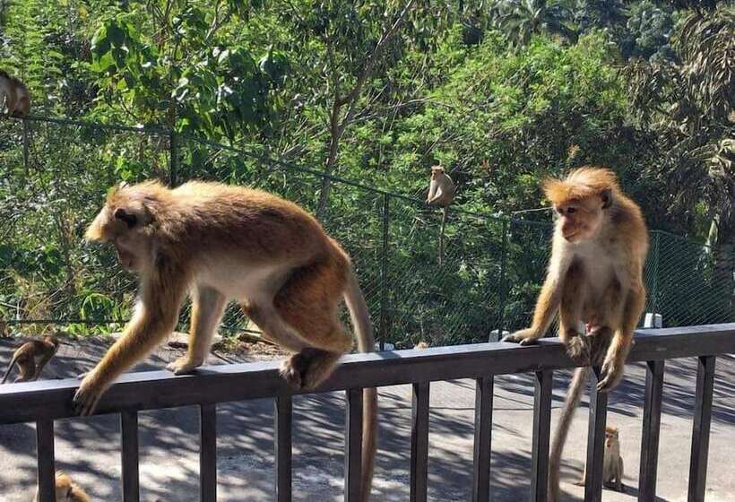 فندق The Grand Hills