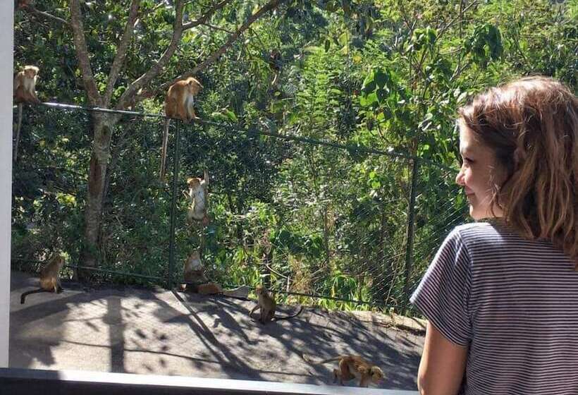 فندق The Grand Hills