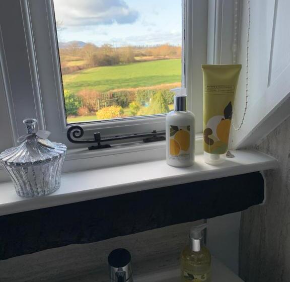 酒店 The Rag House