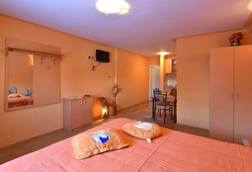 هتل Vila Sofija Zlatibor