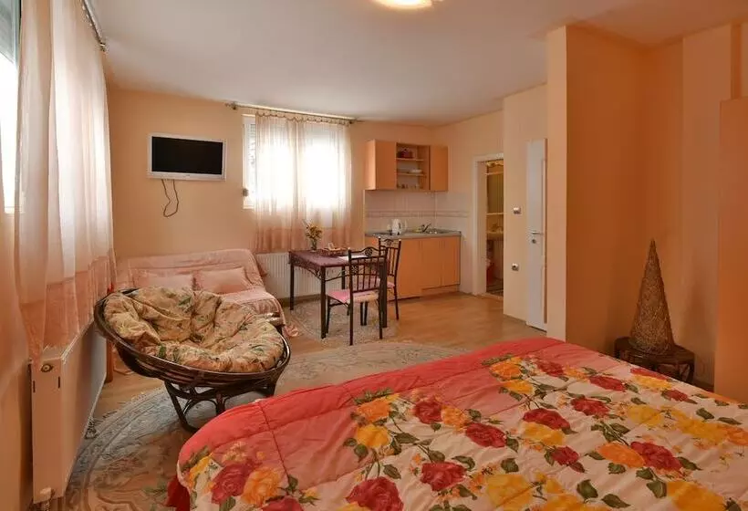 هتل Vila Sofija Zlatibor