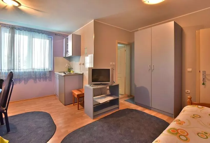 هتل Vila Sofija Zlatibor