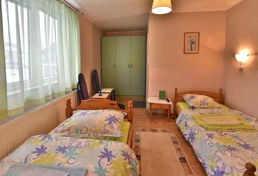 هتل Vila Sofija Zlatibor