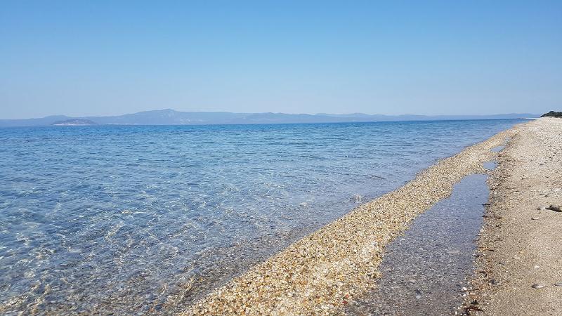 Bungalow White Apartments And Suites