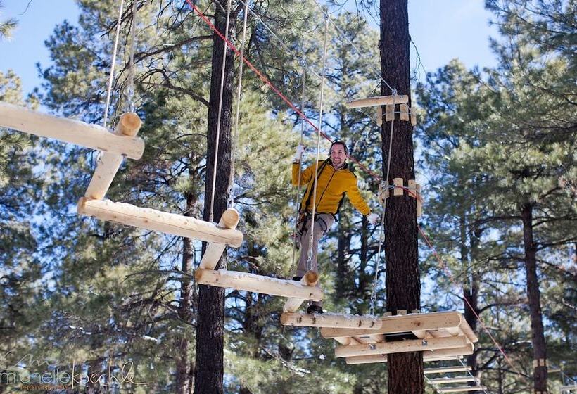 Szálloda Fairfield Inn & Suites By Marriott Flagstaff East