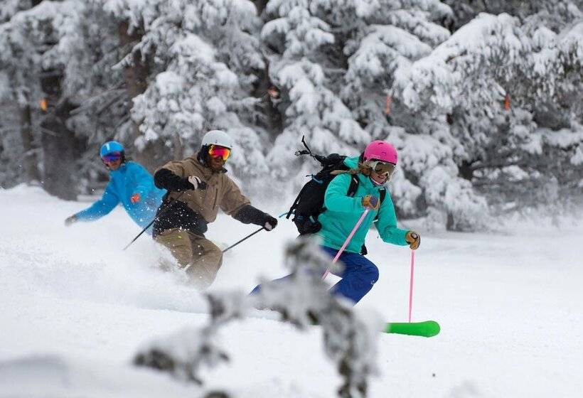 Szálloda Fairfield Inn & Suites By Marriott Flagstaff East