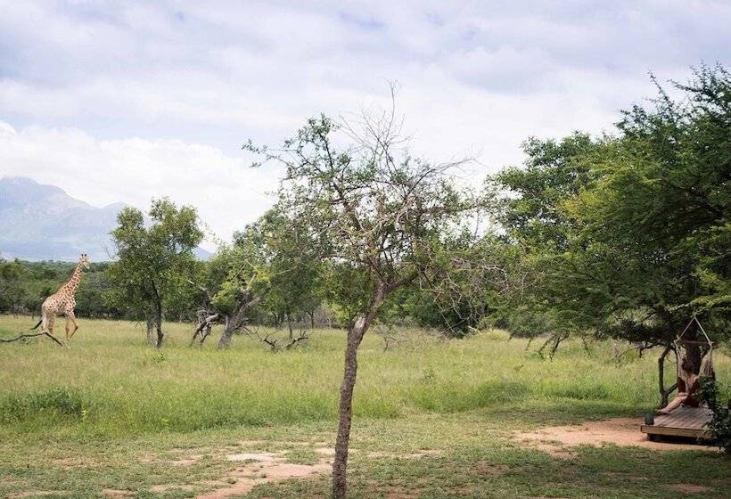 酒店 Nyumbani Estate Bush Lodge   All Inclusive