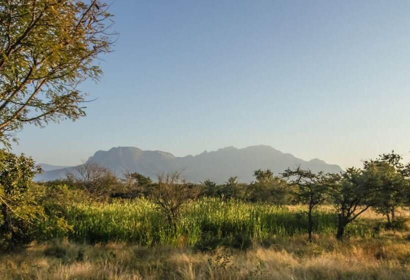 酒店 Nyumbani Estate Bush Lodge   All Inclusive