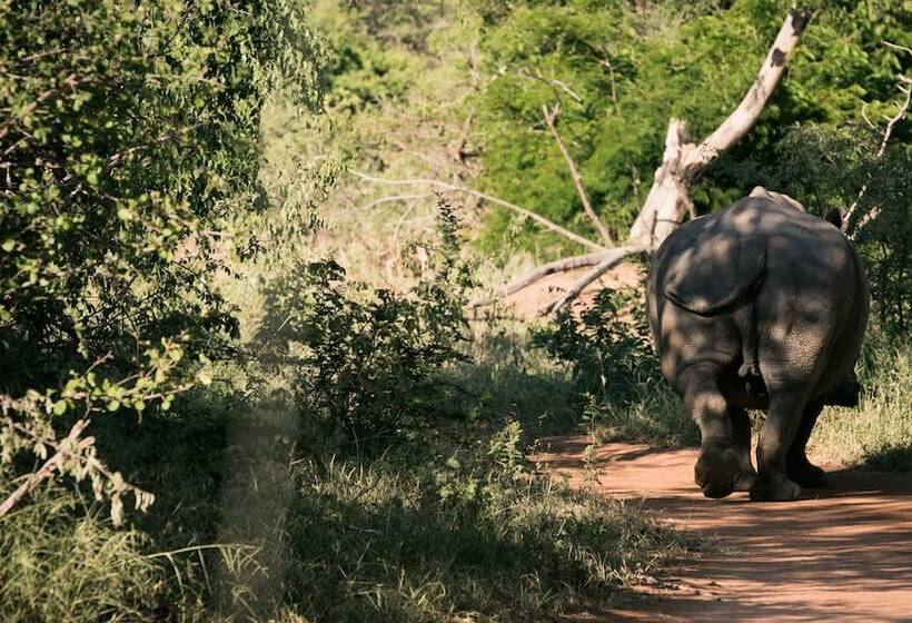 酒店 Nyumbani Estate Bush Lodge   All Inclusive