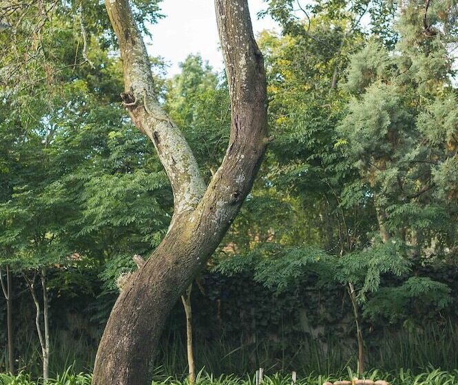 فندق Osborne House