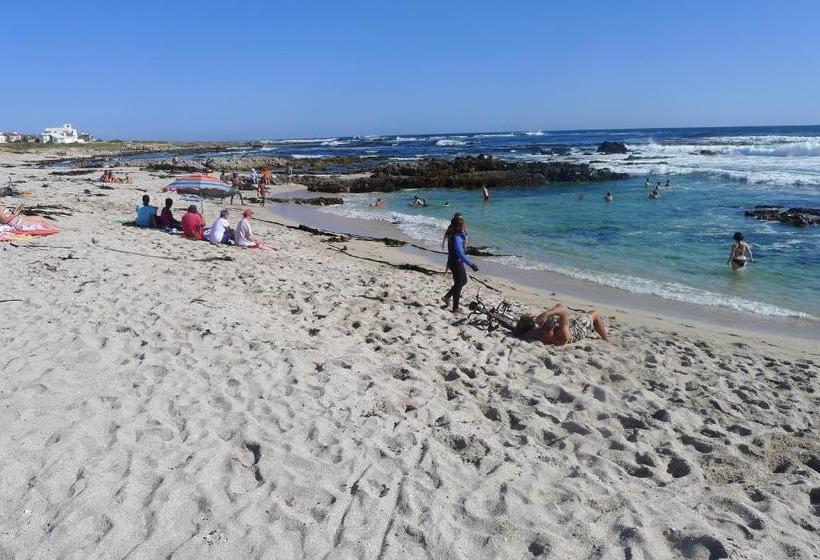 בית מלון כפרי Pashasha Beach House