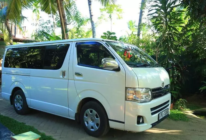 هتل Yala River Face Inn