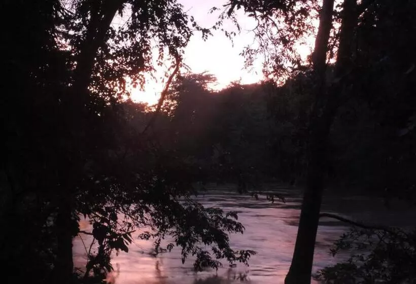 هتل Yala River Face Inn