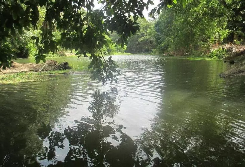 هتل Yala River Face Inn
