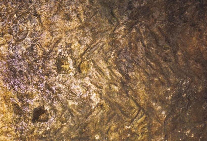 בית מלון כפרי Ryokan Masuya