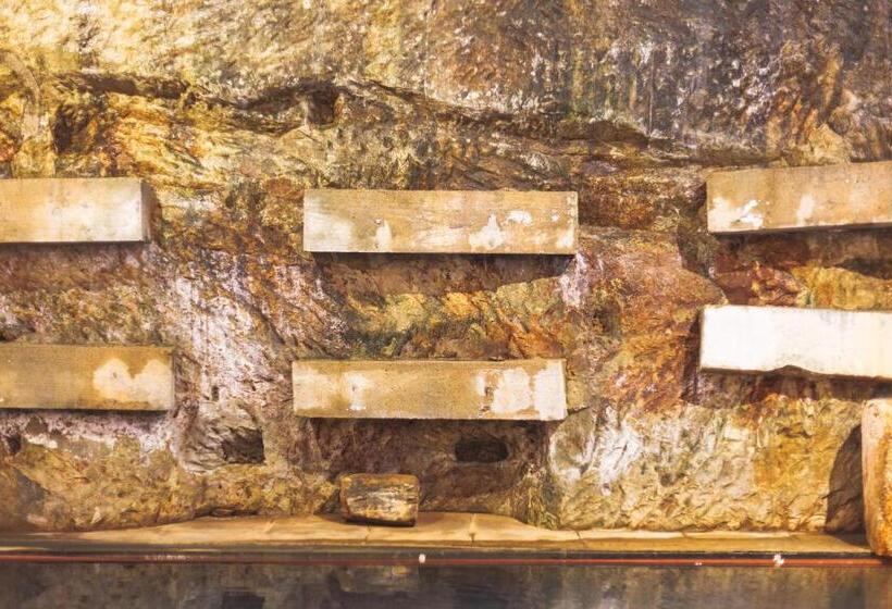 בית מלון כפרי Ryokan Masuya