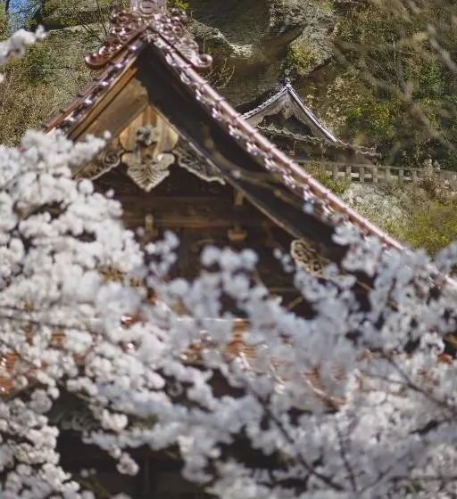 ホテル Ryokan Masuya