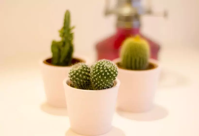 Hotelli Turista Da Trindade