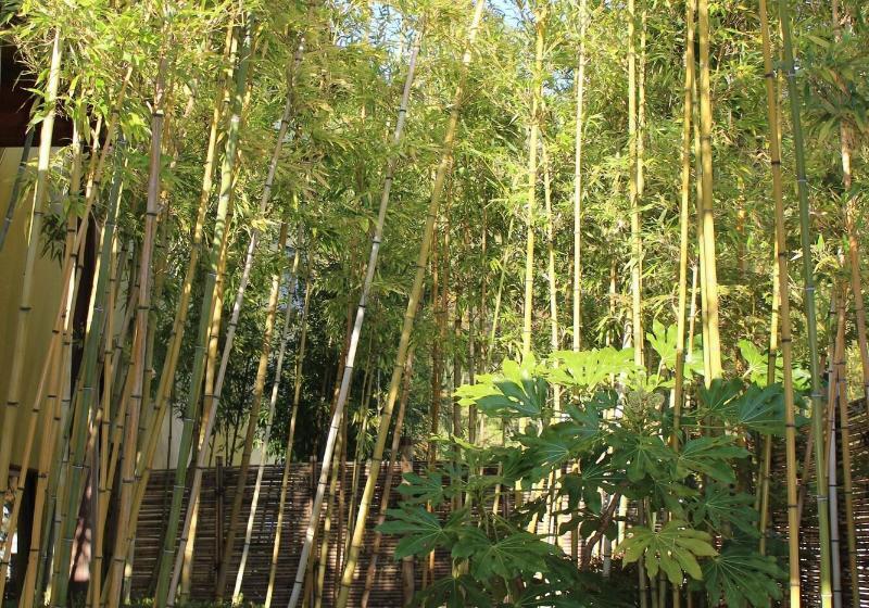 Hotel Matsuriya Yuzaemon